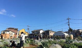 シェア畑 教室 1