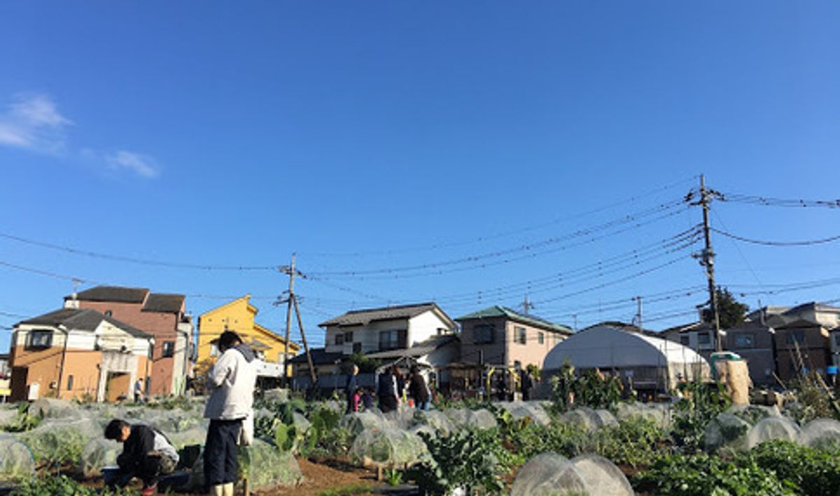 シェア畑 宮前平2