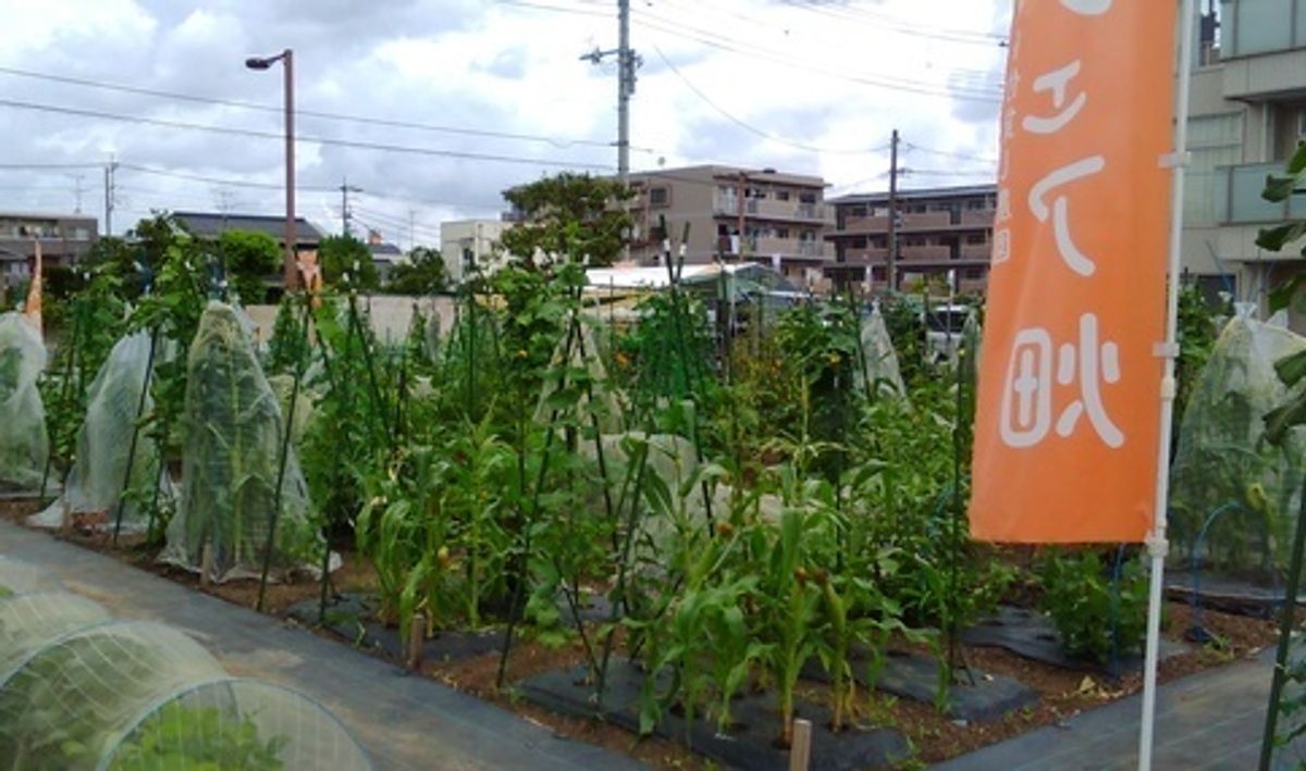 シェア畑 浦和2