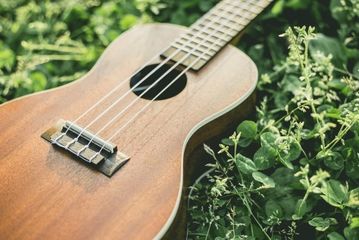 親子でウクレレを習い事に!子どもでも始められるその魅力や料金は?