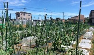 シェア畑 大宮堀の内7