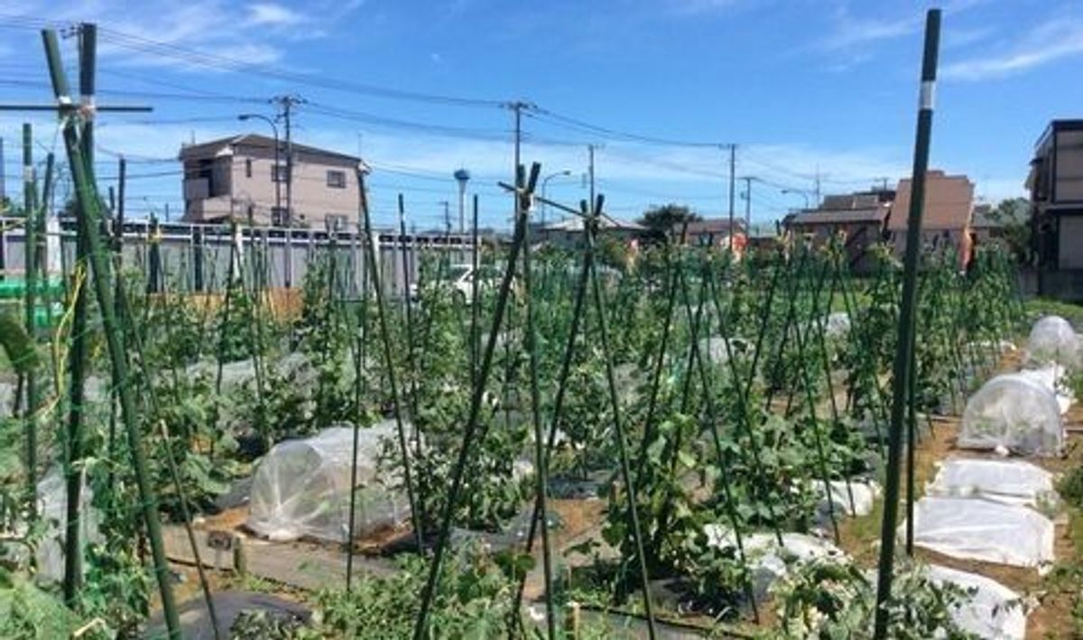 シェア畑 大宮堀の内7