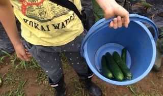 シェア畑 大宮堀の内5