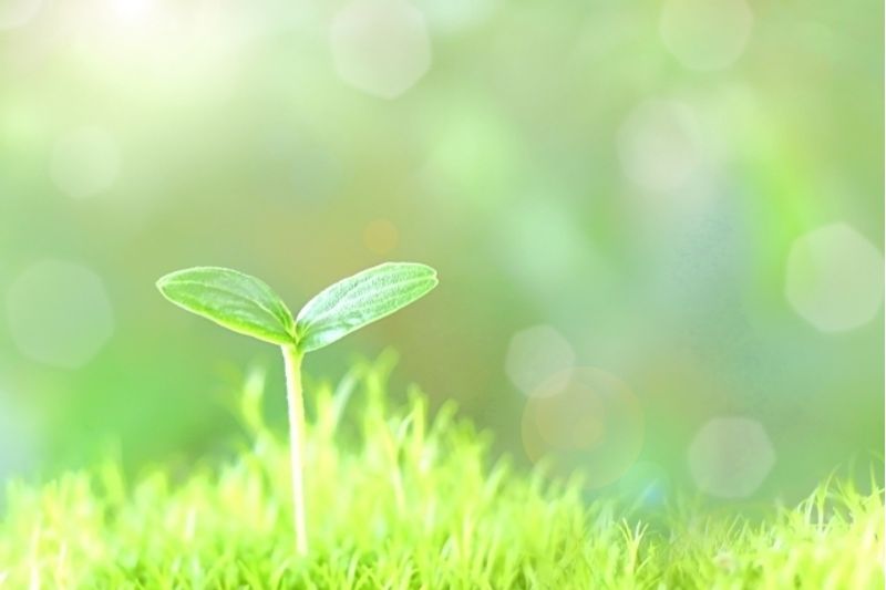 福島県二本松市の子供が英語好きになる英会話教室2選!無料体験教室もあり