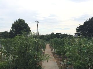 シェア畑 教室 1