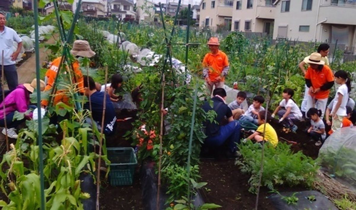 シェア畑 新横浜2
