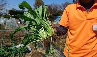 シェア畑 教室 4