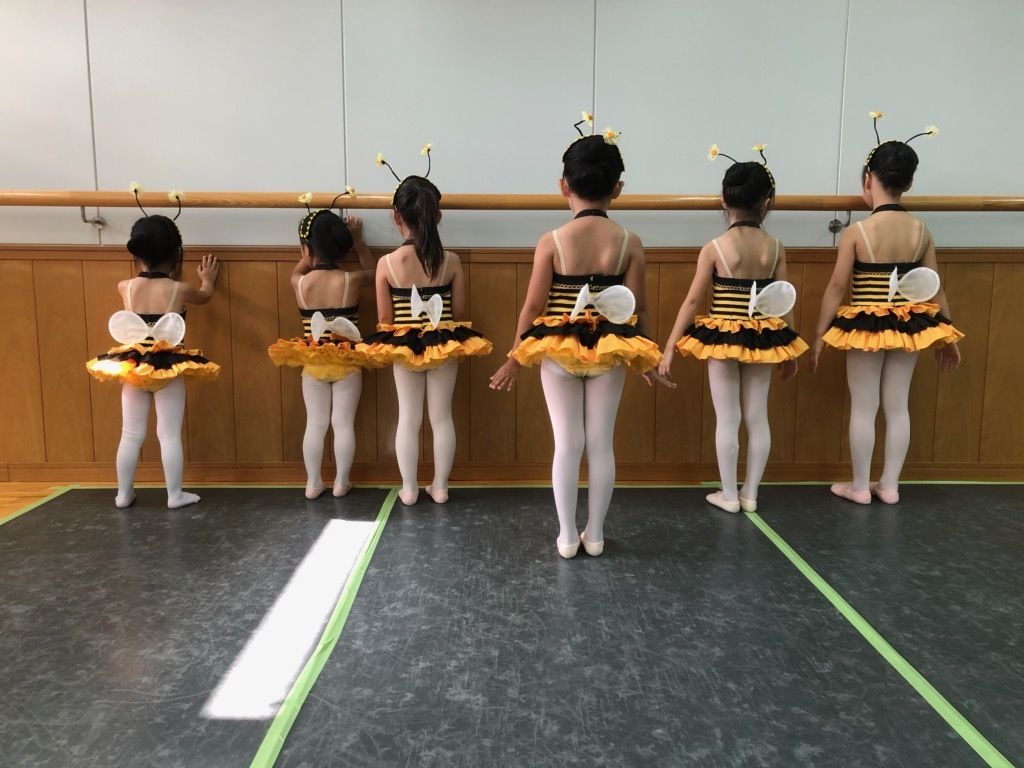 Sumi(スミ) Ballet Studio 本部<第一スタジオ>写真・教室の様子