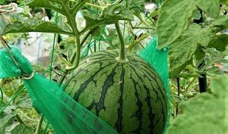 シェア畑 教室 1