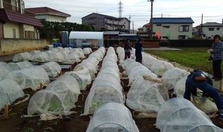 シェア畑 大宮堀の内12