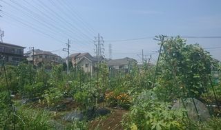 シェア畑 教室 2