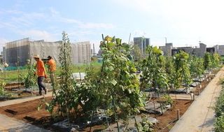 シェア畑 教室 1