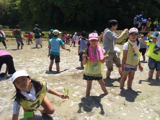 螢雪パーソナル東京 めじろ台教室6