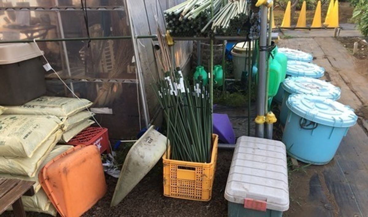 シェア畑 深大寺10