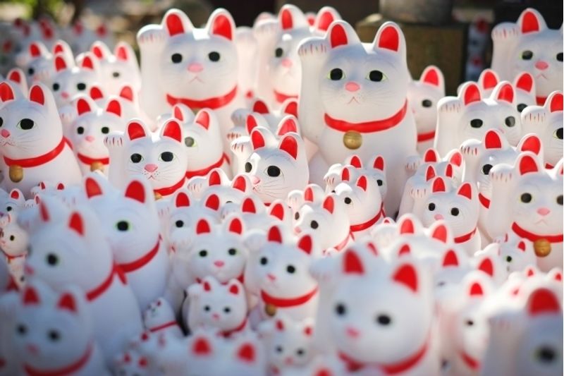 豪徳寺駅近くで子供たちがいきいきと学べる習い事3選。サッカーや英語!