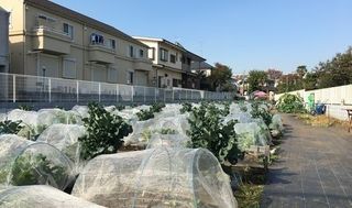 シェア畑 教室 1