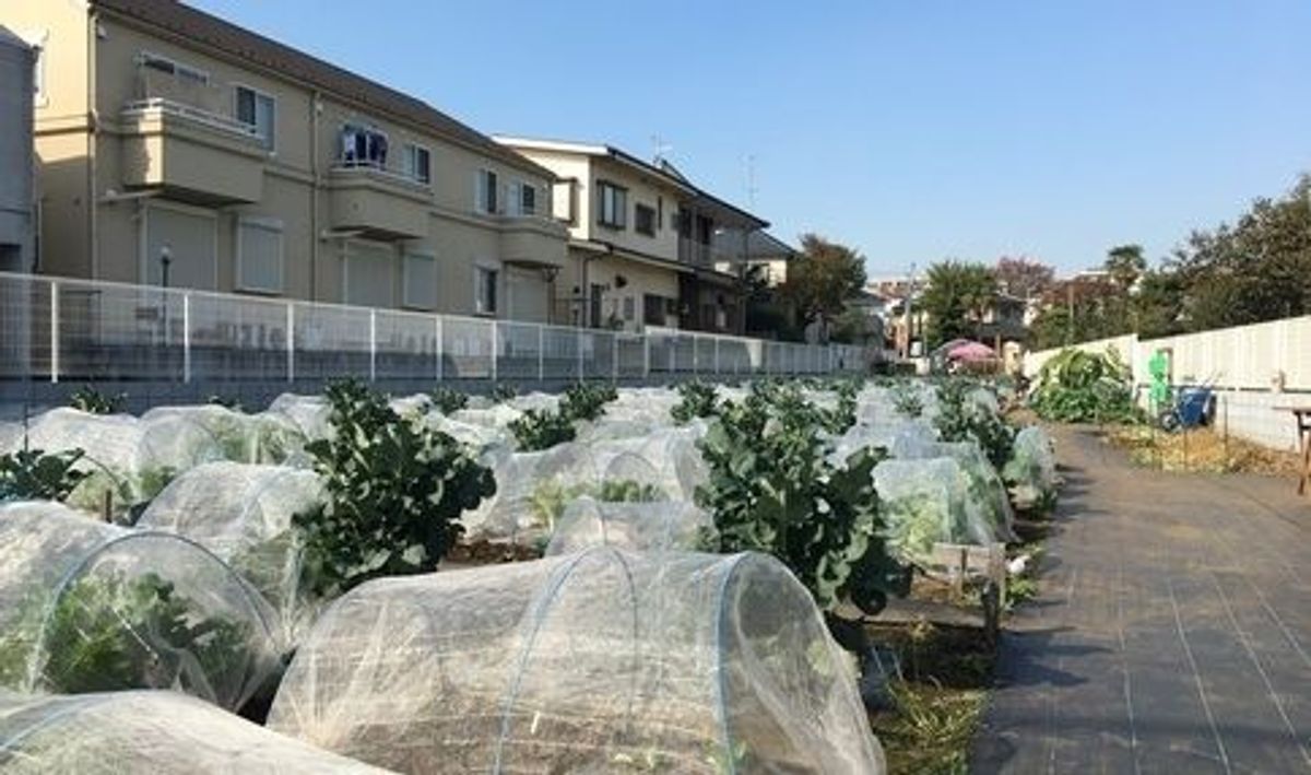 シェア畑 教室 1