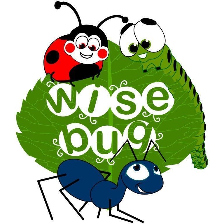 ワイズバグ イングリッシュ