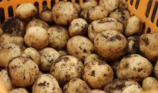 シェア畑 教室 3