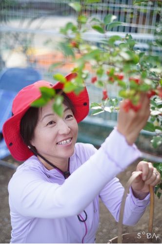 ラボ・パーティ 尾崎教室の先生