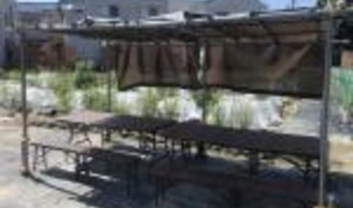 シェア畑 多摩落川6