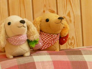 ベビーパーク 教室 3