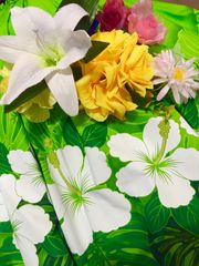 子供の習い事にフラダンス!メリットや効果は?親子で習える?