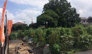 シェア畑 教室 2