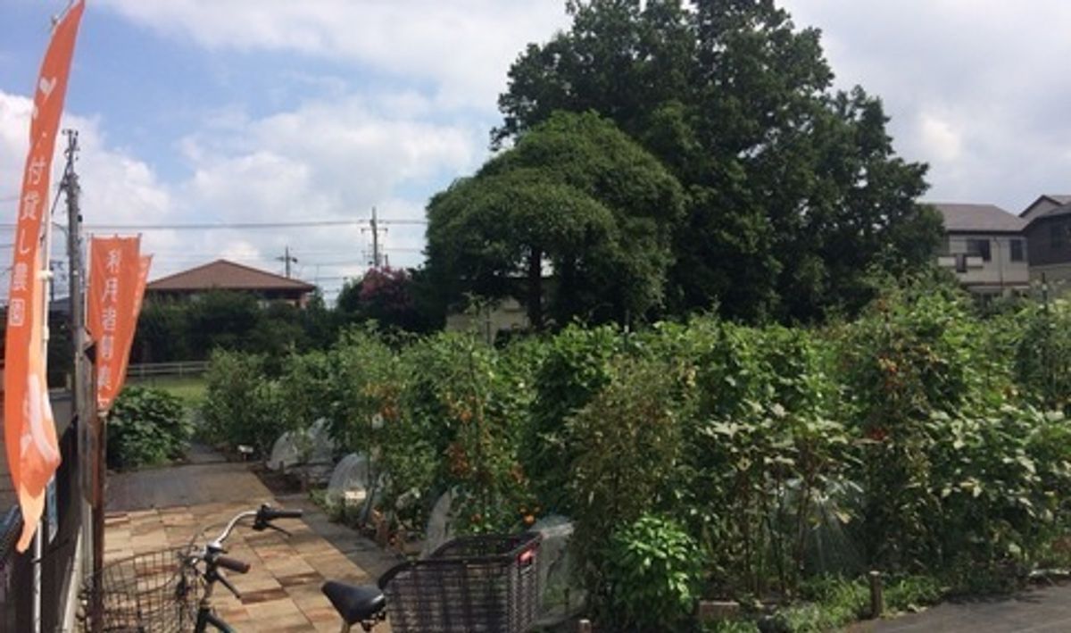 シェア畑 教室 2