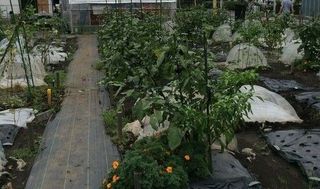 シェア畑 教室 3