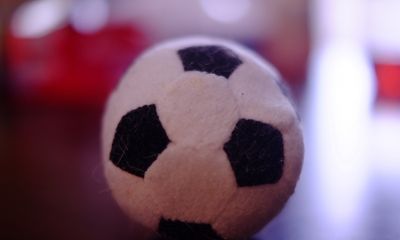 綱島駅周辺の子供向け習い事4選。幼児から始められるスポーツなど!